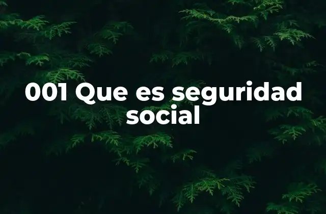 001 que es Seguridad Social