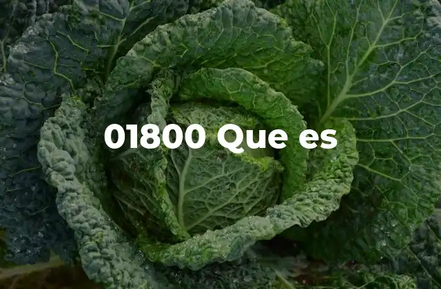 01800 que es