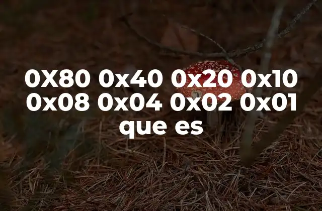 0x80 0x40 0x20 0x10 0x08 0x04 0x02 0x01 que es