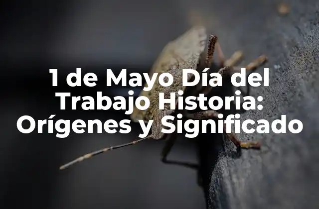 1 de Mayo Día Del Trabajo Historia: Orígenes y Significado