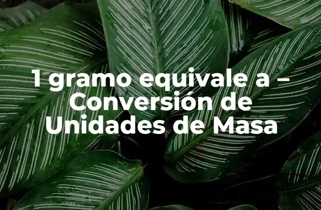 1 Gramo Equivale a – Conversión de Unidades de Masa