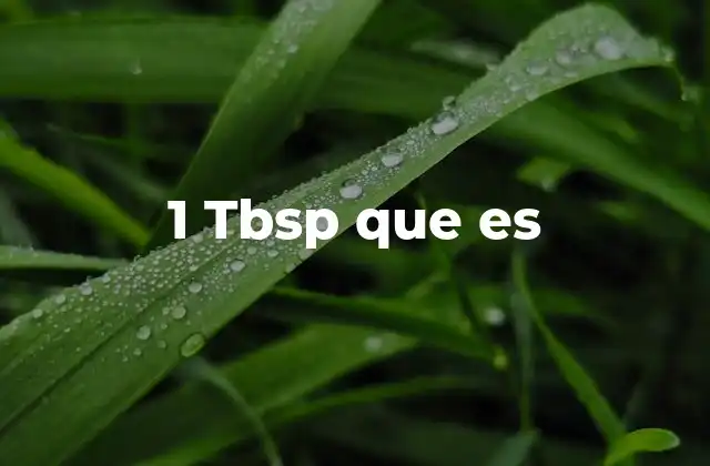 1 Tbsp que es
