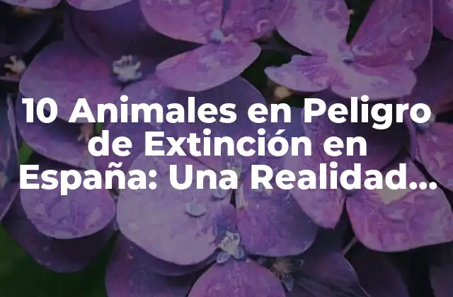 10 Animales en Peligro de Extinción en España: una Realidad Preocupante