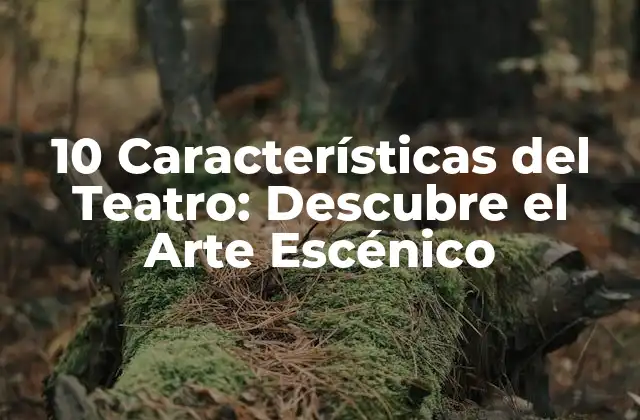 10 Características Del Teatro: Descubre el Arte Escénico