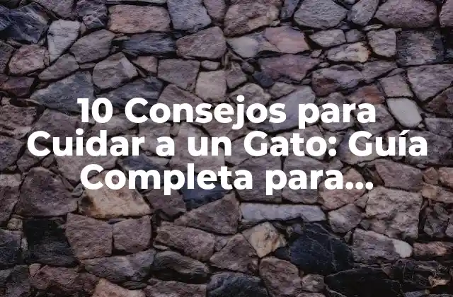 10 Consejos para Cuidar a un Gato: Guía Completa para Propietarios de Gatos