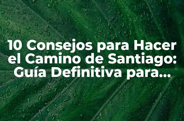 10 Consejos para Hacer el Camino de Santiago: Guía Definitiva para Pilgrinos