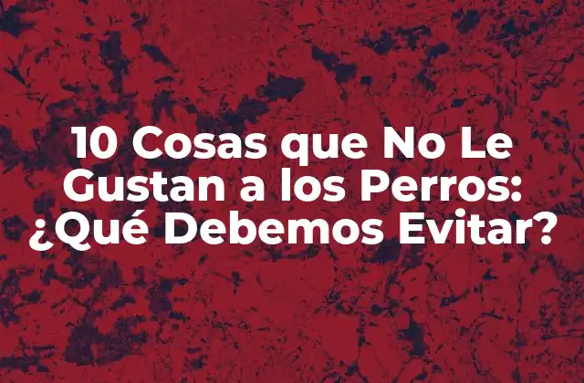10 Cosas que No Le Gustan a los Perros: ¿qué Debemos Evitar?
