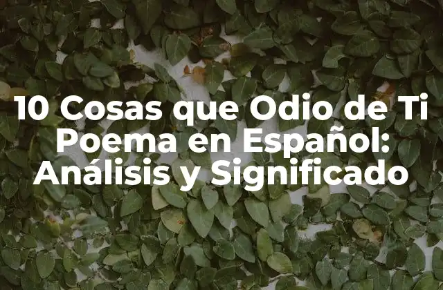 10 Cosas que Odio de Ti Poema en Español: Análisis y Significado