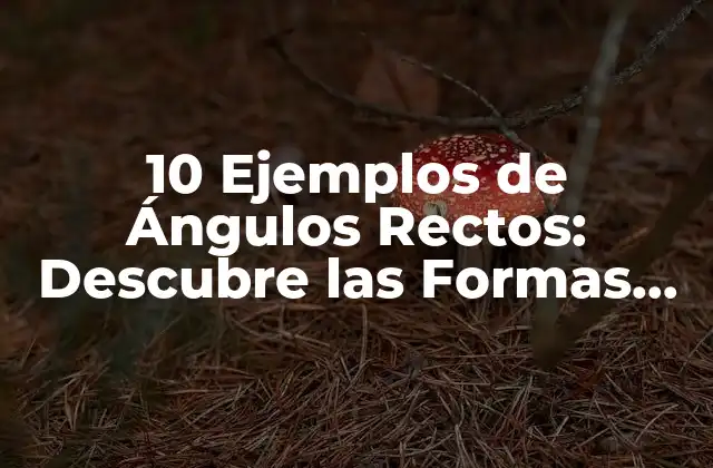 10 Ejemplos de Ángulos Rectos: Descubre las Formas Geométricas Más Comunes