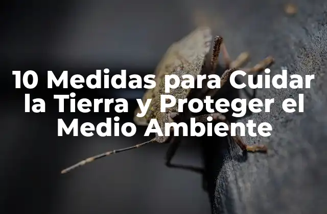 10 Medidas para Cuidar la Tierra y Proteger el Medio Ambiente