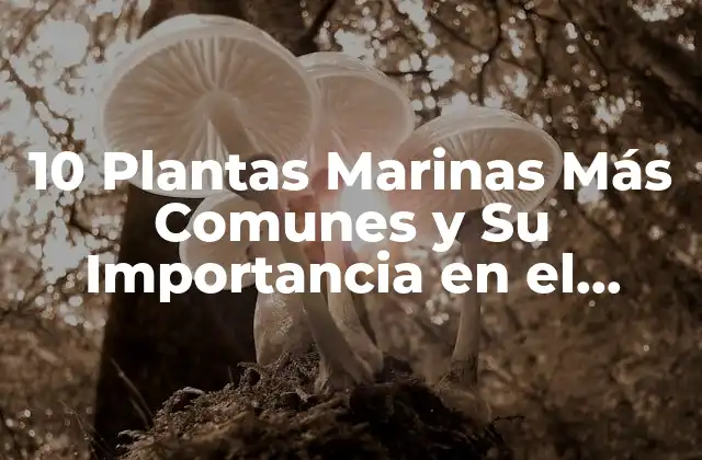10 Plantas Marinas Más Comunes y Su Importancia en el Ecosistema Marino