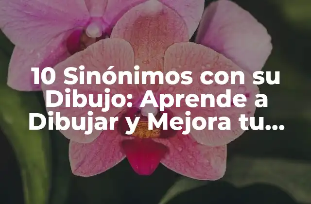 10 Sinónimos con Su Dibujo: Aprende a Dibujar y Mejora Tu Vocabulario