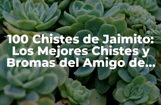 100 Chistes de Jaimito: los Mejores Chistes y Bromas Del Amigo de los Niños