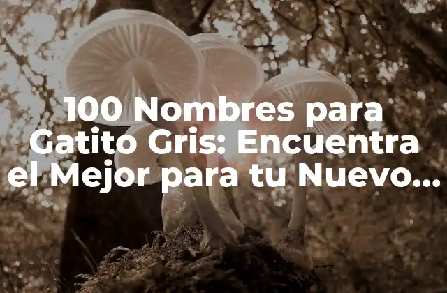 100 Nombres para Gatito Gris: Encuentra el Mejor para Tu Nuevo Amigo