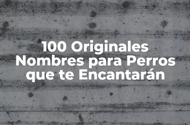 100 Originales Nombres para Perros que Te Encantarán 2 ¿Por qué son Importantes los Nombres Originales para Perros?