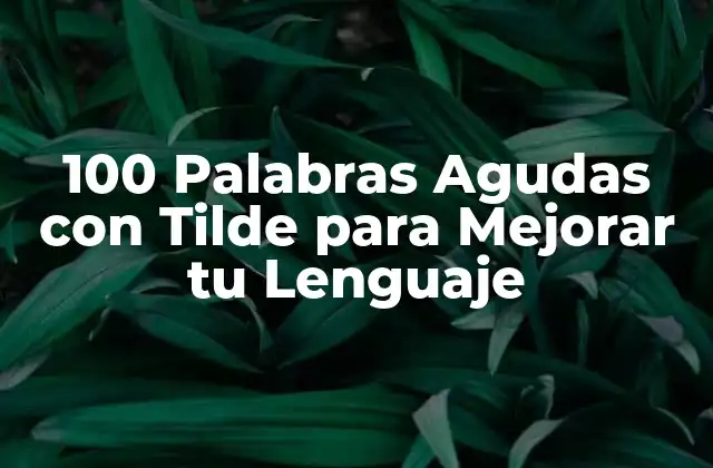 ¿Qué son las Palabras Agudas con Tilde?