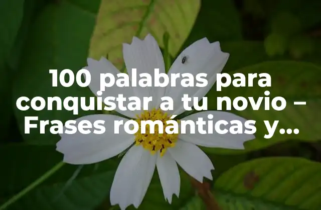100 Palabras para Conquistar a Tu Novio – Frases Románticas y Originales