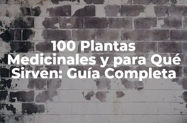 100 Plantas Medicinales y para Qué Sirven: Guía Completa