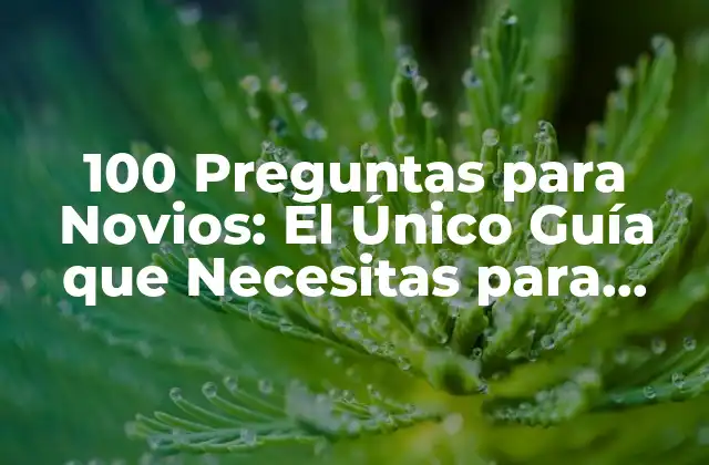 100 Preguntas para Novios: el Único Guía que Necesitas para Conocer a Tu Pareja