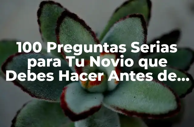 100 Preguntas Serias para Tu Novio que Debes Hacer Antes de Comprometerte