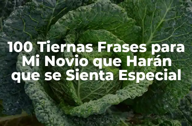 100 Tiernas Frases para Mi Novio que Harán que Se Sienta Especial