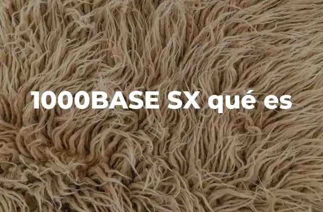 1000base Sx Qué es