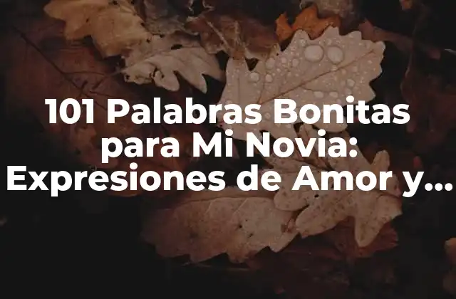 101 Palabras Bonitas para Mi Novia: Expresiones de Amor y Afecto