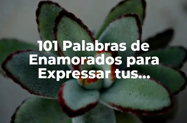 101 Palabras de Enamorados para Expressar Tus Sentimientos 2 ¿Por qué las Palabras de Enamorados son Importantes en una Relación?