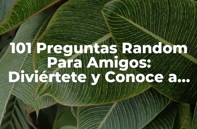 101 Preguntas Random para Amigos: Diviértete y Conoce a Tus Amigos de Verdad