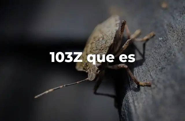 103z que es