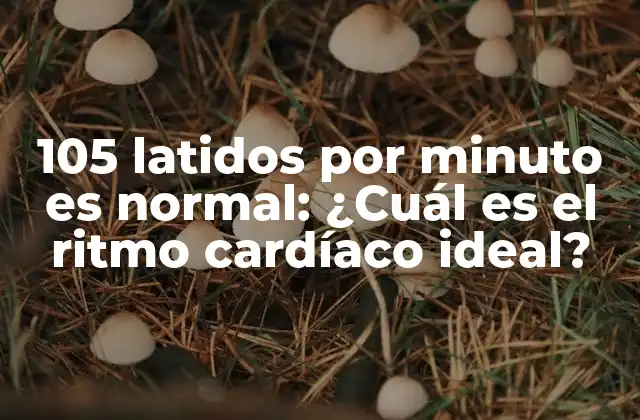 105 Latidos por Minuto es Normal: ¿cuál es el Ritmo Cardíaco Ideal?