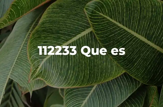 112233 que es