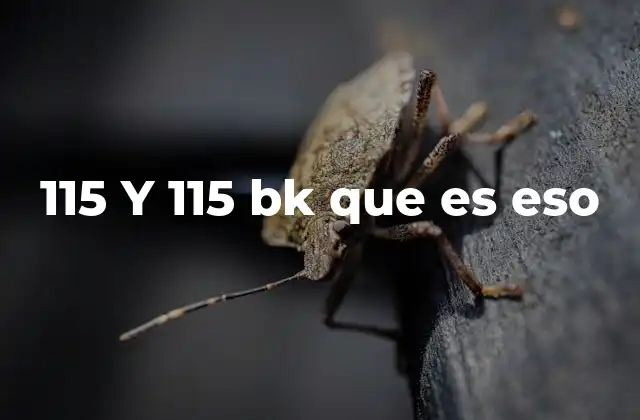 115 y 115 Bk que es Eso