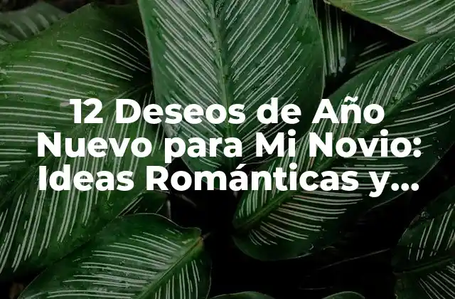 12 Deseos de Año Nuevo para Mi Novio: Ideas Románticas y Originales
