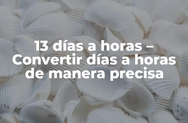 13 Días a Horas – Convertir Días a Horas de Manera Precisa