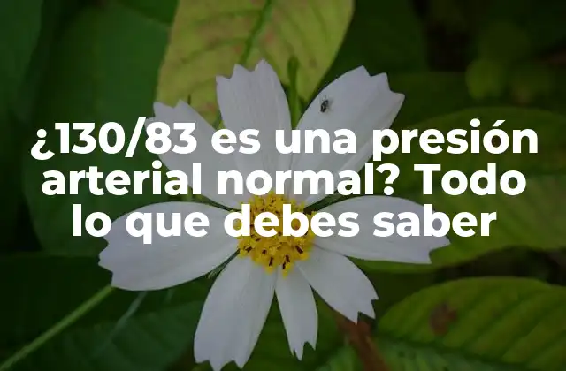 ¿130/83 es una Presión Arterial Normal? Todo Lo que Debes Saber