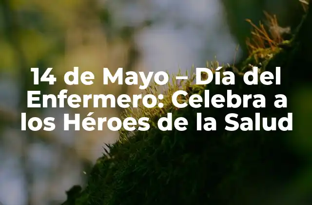 14 de Mayo – Día Del Enfermero: Celebra a los Héroes de la Salud