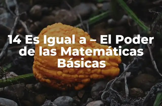 14 es Igual a – el Poder de las Matemáticas Básicas