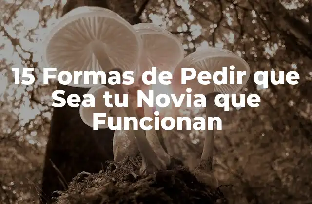 15 Formas de Pedir que Sea Tu Novia que Funcionan
