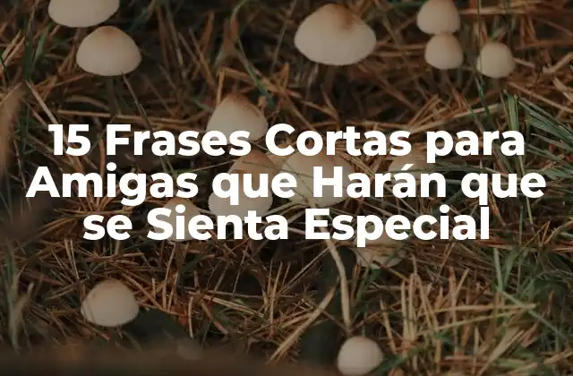 15 Frases Cortas para Amigas que Harán que Se Sienta Especial