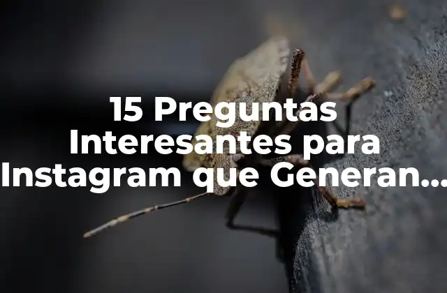 15 Preguntas Interesantes para Instagram que Generan Conversaciones