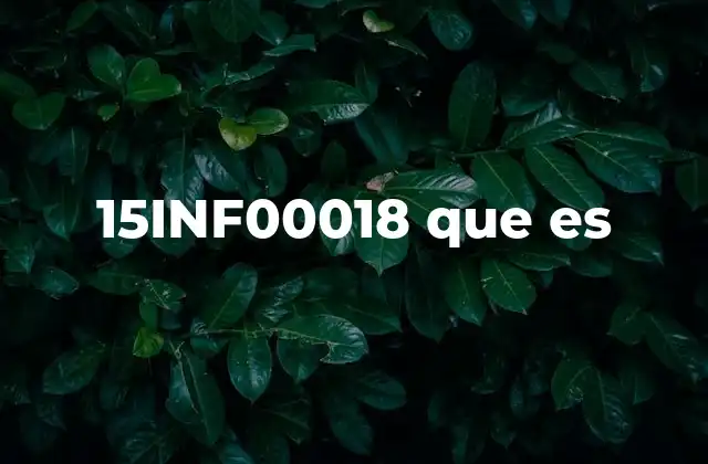 15inf00018 que es