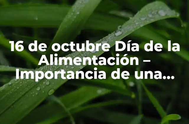 16 de Octubre Día de la Alimentación – Importancia de una Alimentación Saludable