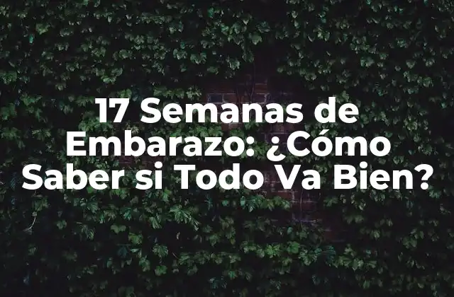 17 Semanas de Embarazo: ¿cómo Saber Si Todo Va Bien?