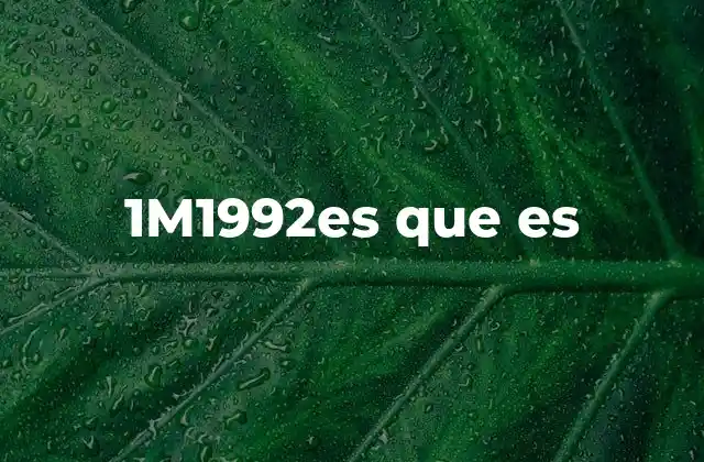 1m1992es que es