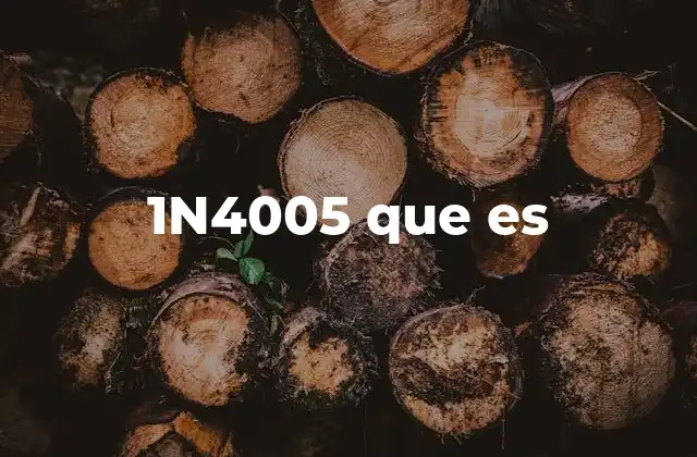 1n4005 que es