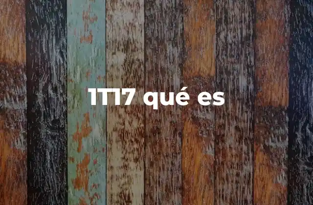 1t17 Qué es