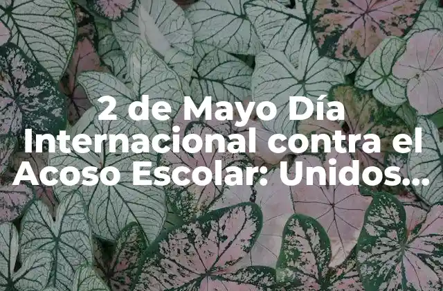 2 de Mayo Día Internacional contra el Acoso Escolar: Unidos contra la Intimidación