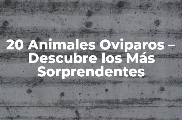 ¿Qué Son los Animales Oviparos?