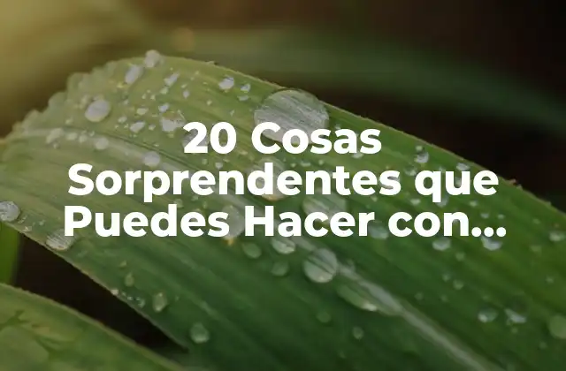 20 Cosas Sorprendentes que Puedes Hacer con Plastilina 2 Arte y Creatividad con Plastilina